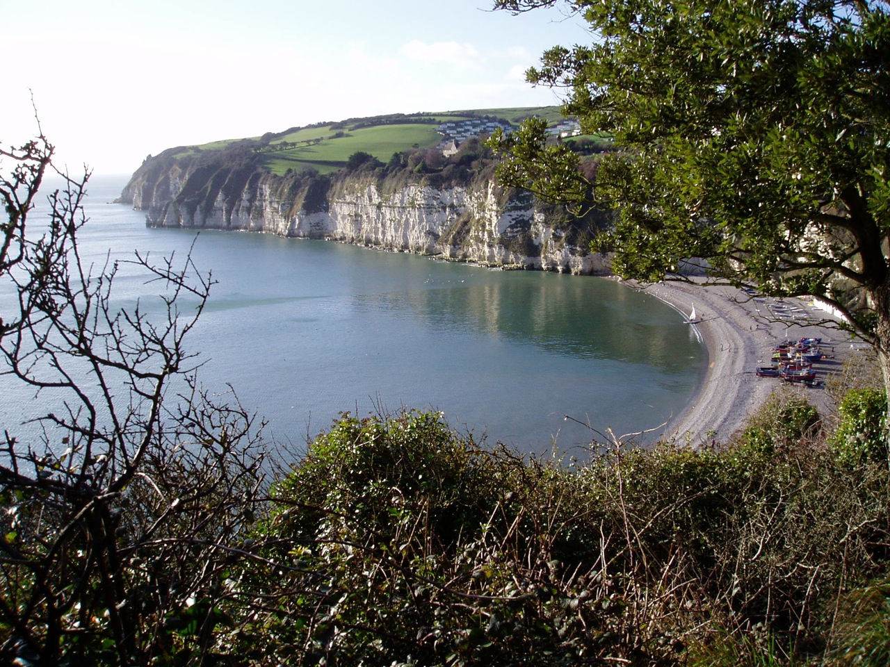 Beer, Devon